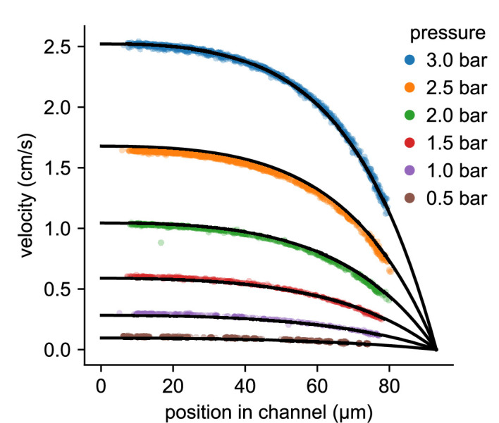 Figure 2—figure supplement 1.