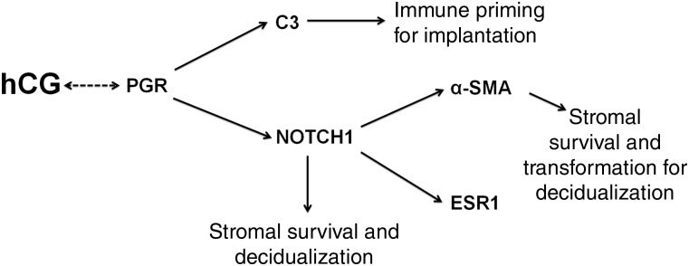 Figure 5