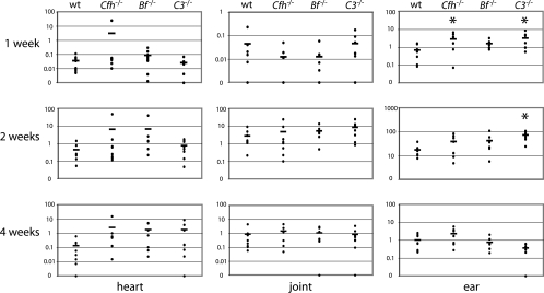 FIG. 1.