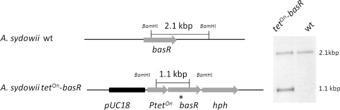 Figure 6—figure supplement 3.