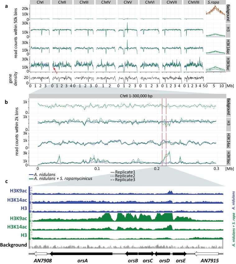 Figure 1.