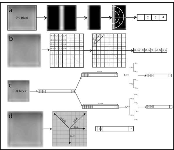 Figure 2: