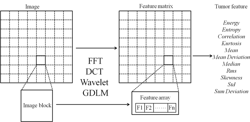 Figure 1: