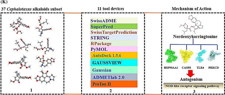 Fig. 1