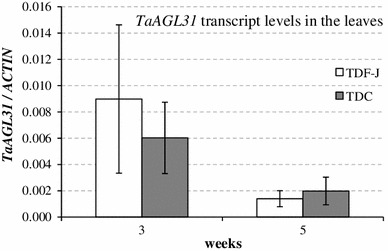 Fig. 4