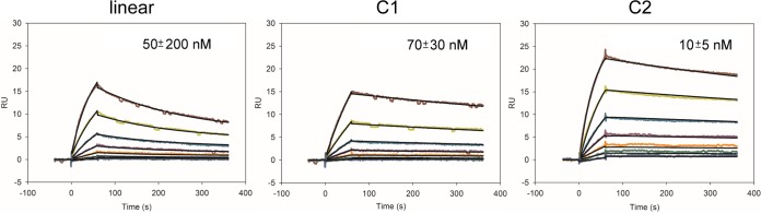 FIG 3