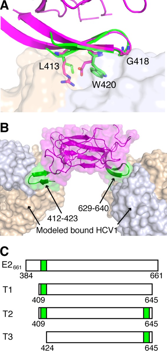 FIG 2