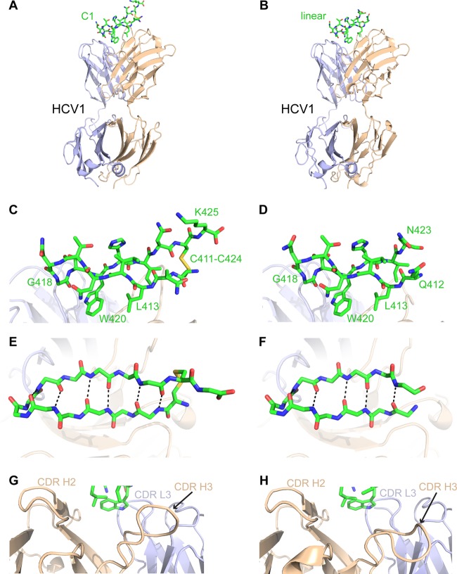 FIG 6