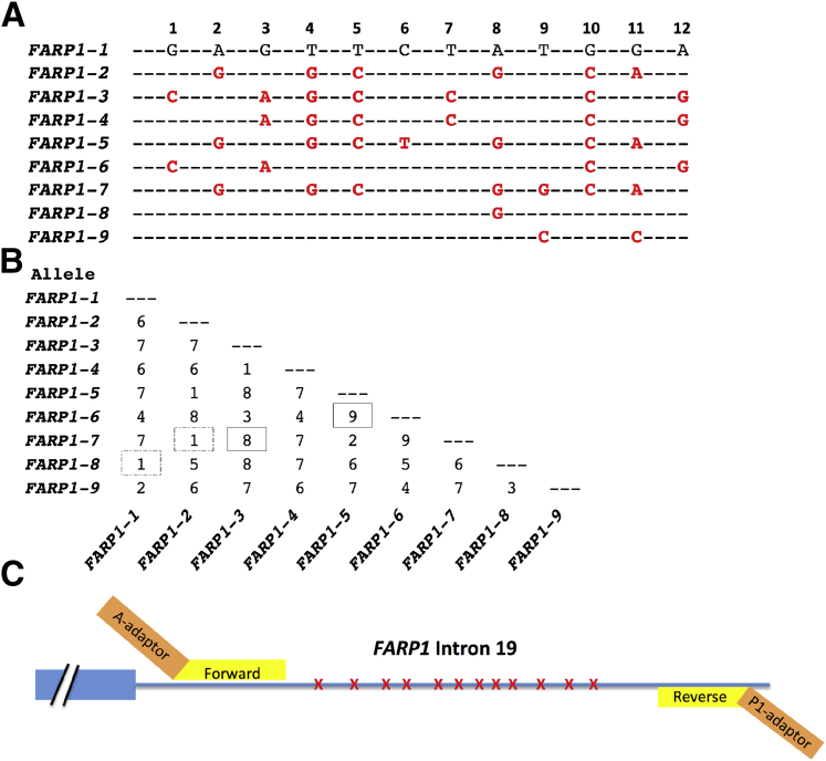 Figure 3