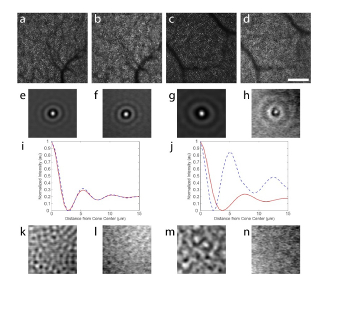 Fig. 8