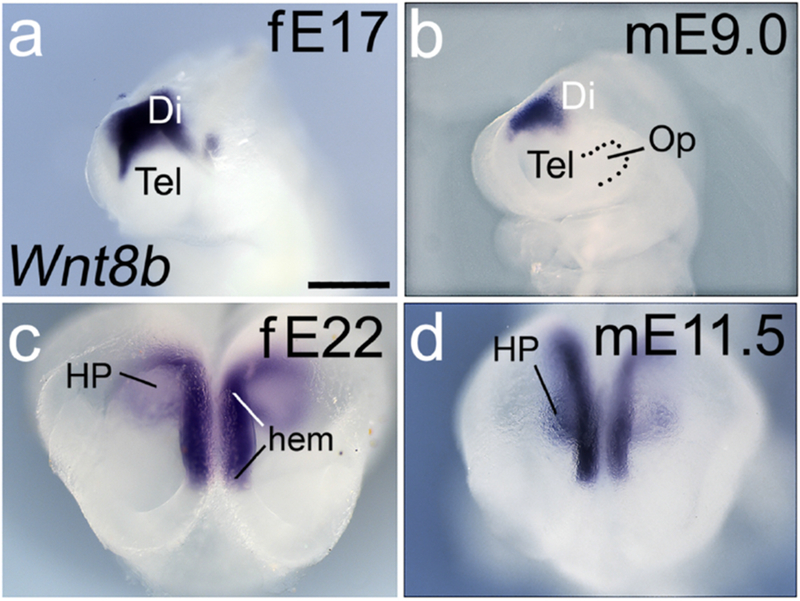 Figure 10.