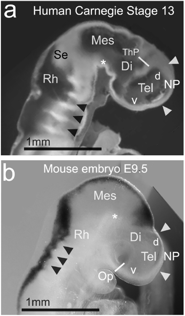 Figure 12.