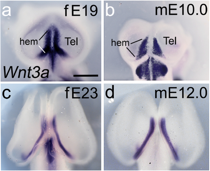 Figure 9.