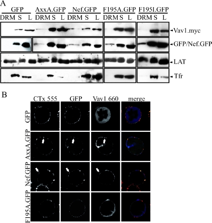 FIG. 8.