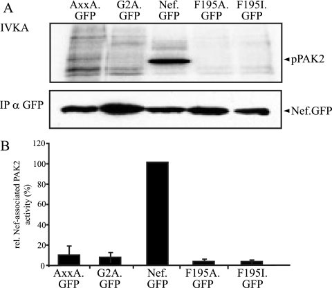 FIG. 7.