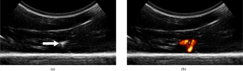 Fig. 8