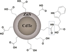 Figure 33