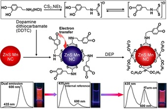 Figure 35