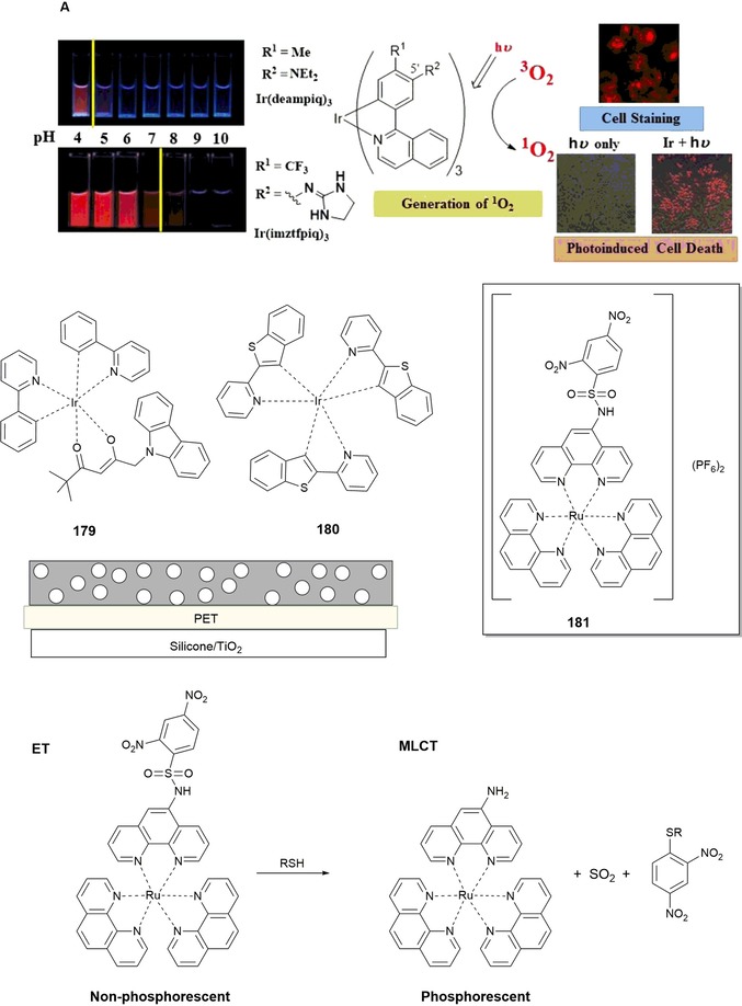 Figure 30