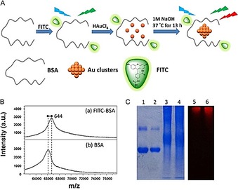 Figure 34