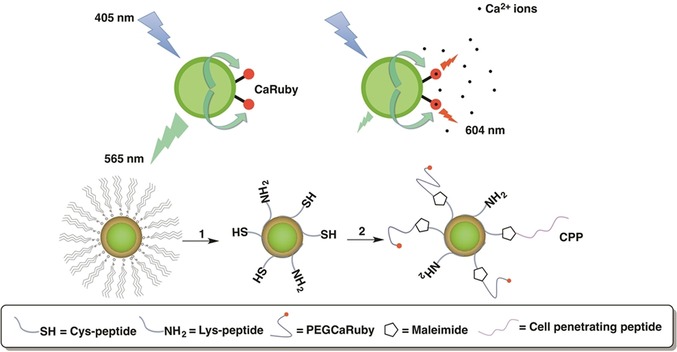 Figure 32