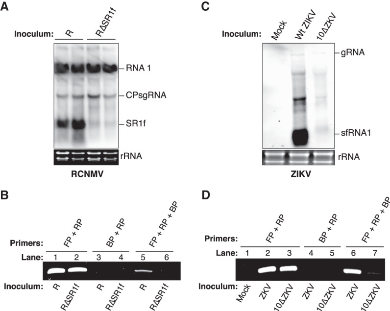 FIGURE 6.