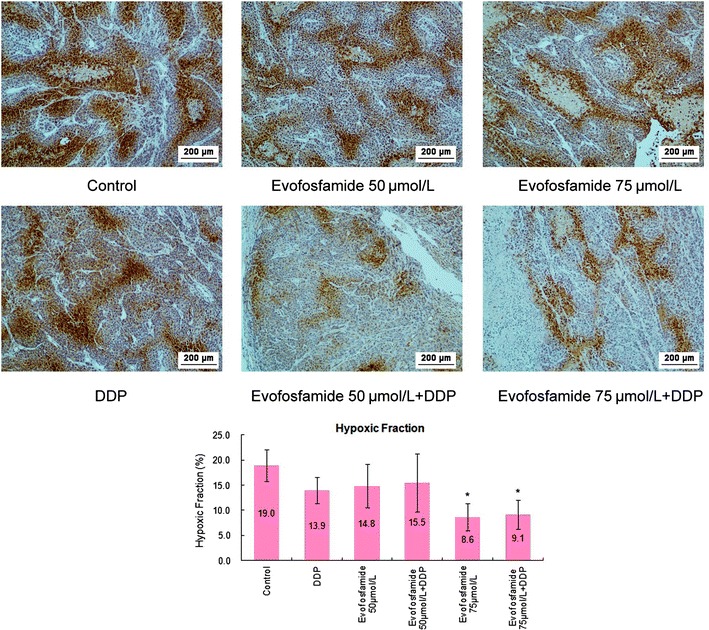 Fig. 7