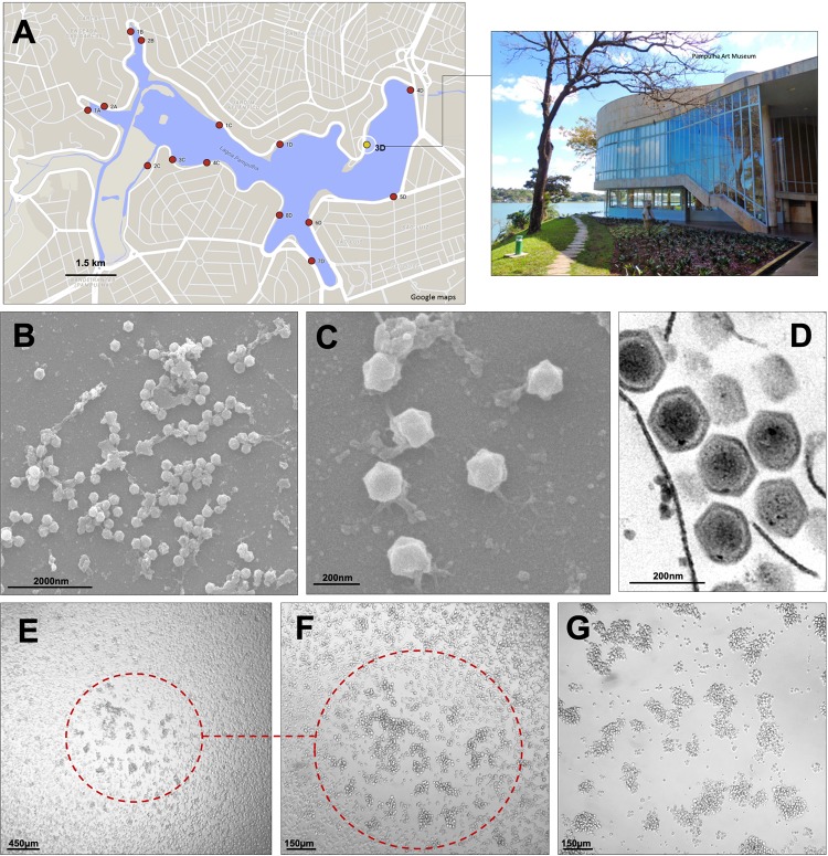 FIG 1