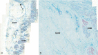 Figure 3