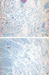 Figure 10
