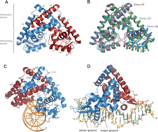 FIGURE 1.