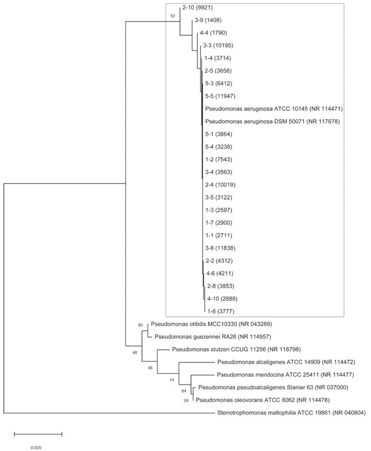 Figure 4