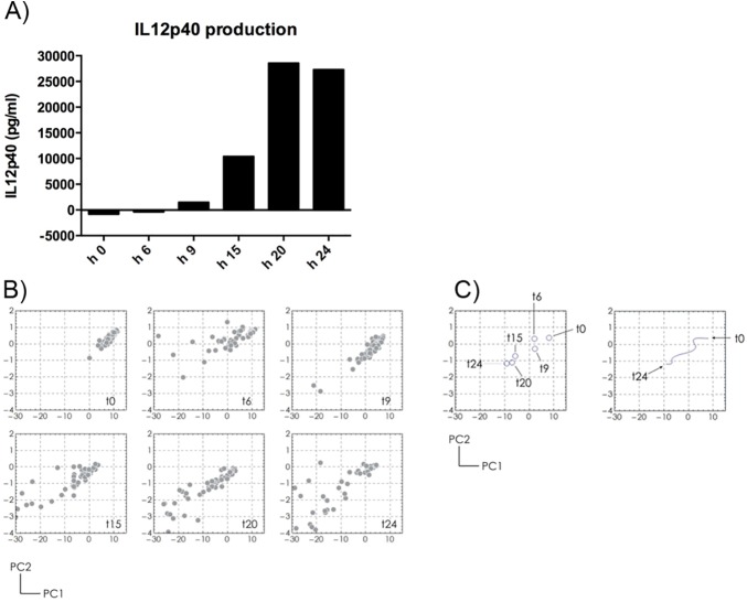 Fig 6