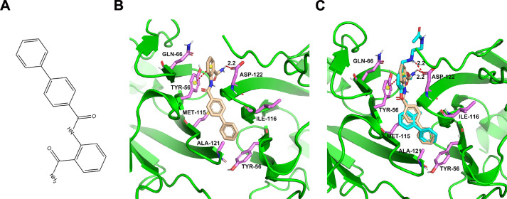 Fig 1