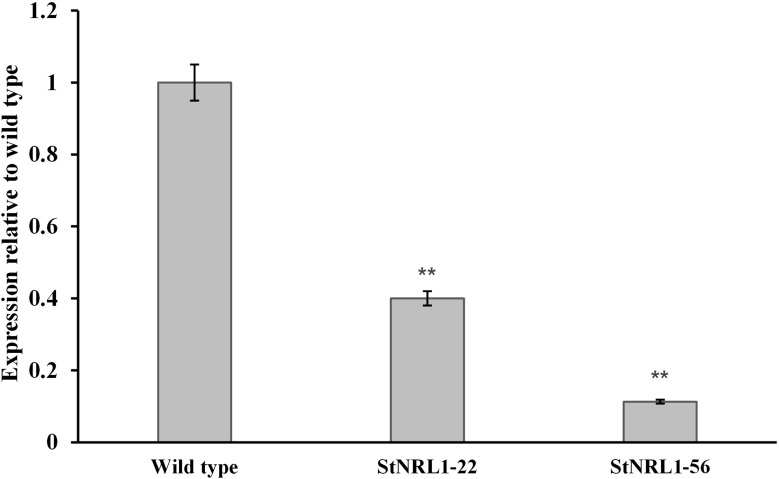 Figure 4