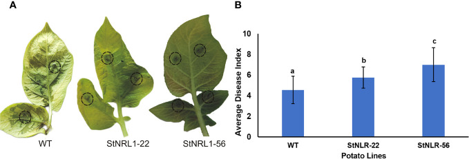 Figure 5