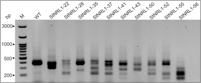 Figure 2