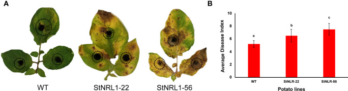 Figure 6