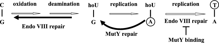 Figure 8