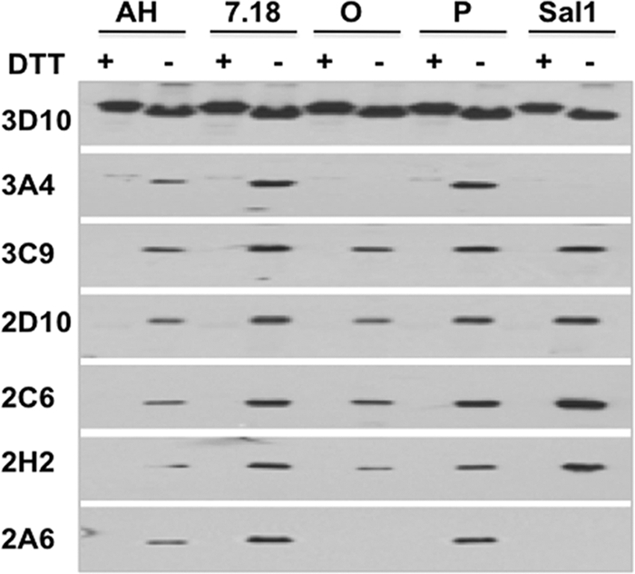 Fig 3