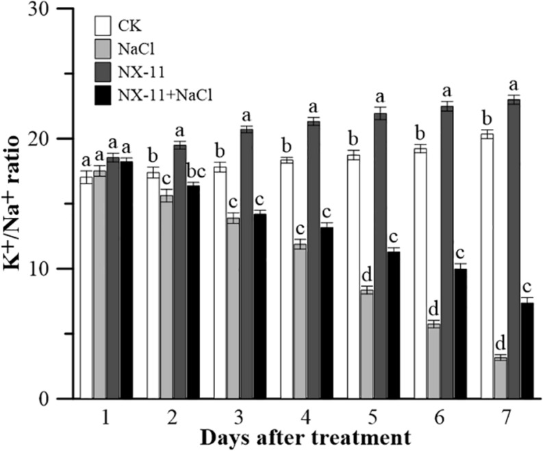 FIGURE 3