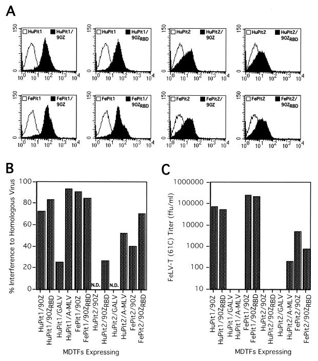 FIG. 2