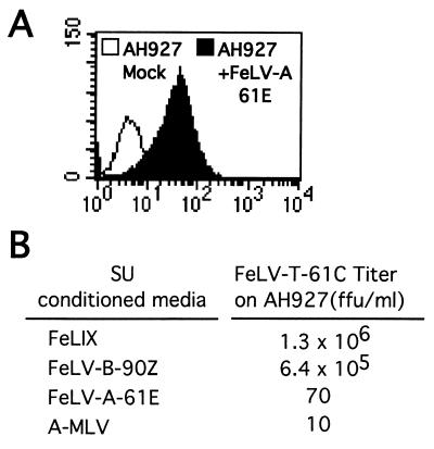 FIG. 6