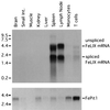 FIG. 7