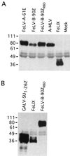 FIG. 3