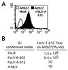 FIG. 6