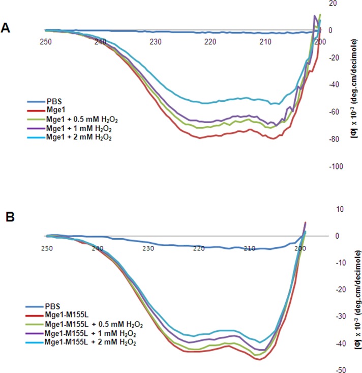 FIGURE 3: