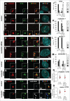 Figure 4 (See previous page).