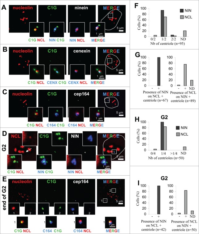 Figure 3 (See previous page).