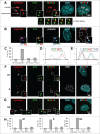 Figure 1 (See previous page).